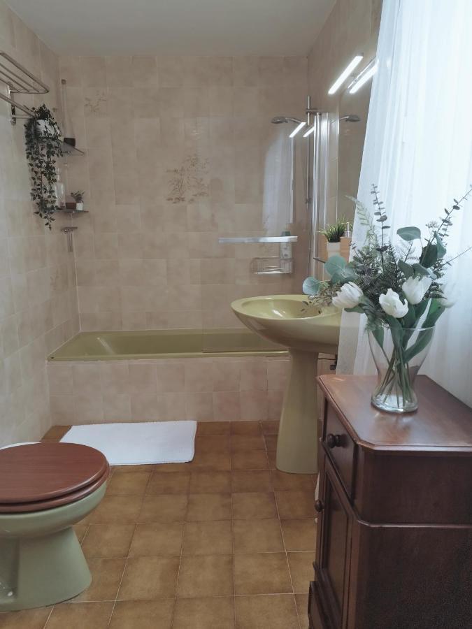 Ferienhaus House Experience Violeta *